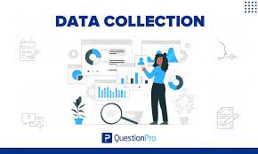 "A Complete Guide to Mastering the Data Collection Process for Your Ph.D."