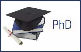 Nurturing Future Educators: How Top Ph.D. Programmes Empower Teaching Assistants