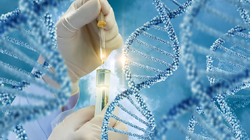 Ph.D. in Pharmaceutical Biotechnology: Introduction, Admission, Registration, Eligibility, Duration, Fees, Syllabus 2024