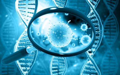 Ph.D. in Plant Biotechnology: Introduction, Admission, Registration, Eligibility, Duration, Fees, Syllabus 2024