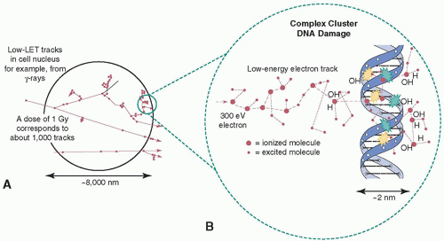 Ph.D. in Radiation Biology: Introduction, Admission, Registration, Eligibility, Duration, Fees, Syllabus 2024