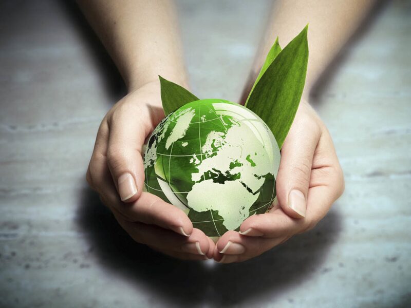 Ph.D. in Resource Management and Consumer Sciences: Introduction, Admission, Registration, Eligibility, Duration, Fees, Syllabus 2024