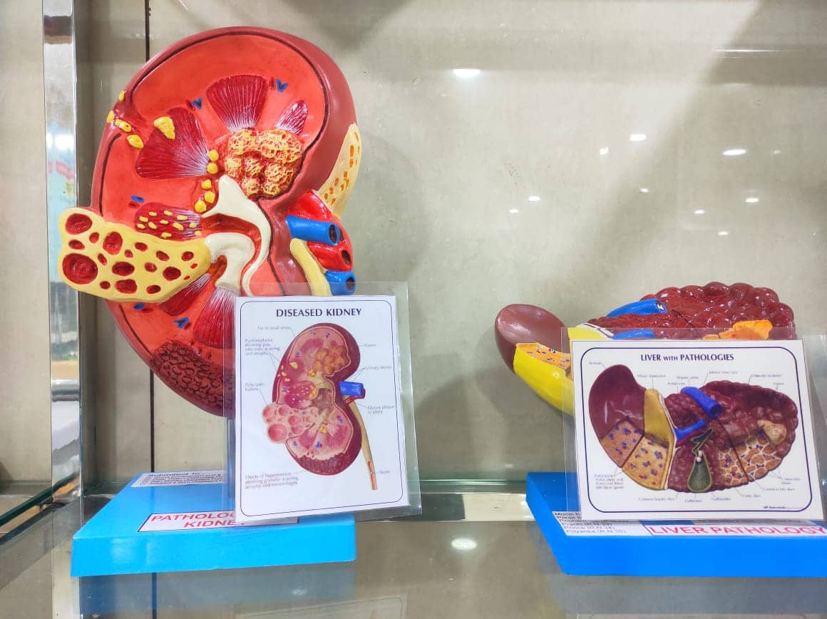 Ph.D. in Roga Nidan: Introduction, Admission, Registration, Eligibility, Duration, Fees, Syllabus 2024