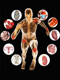 Ph.D. in Shareer Kriya: Introduction, Admission, Registration, Eligibility, Duration, Fees, Syllabus 2024