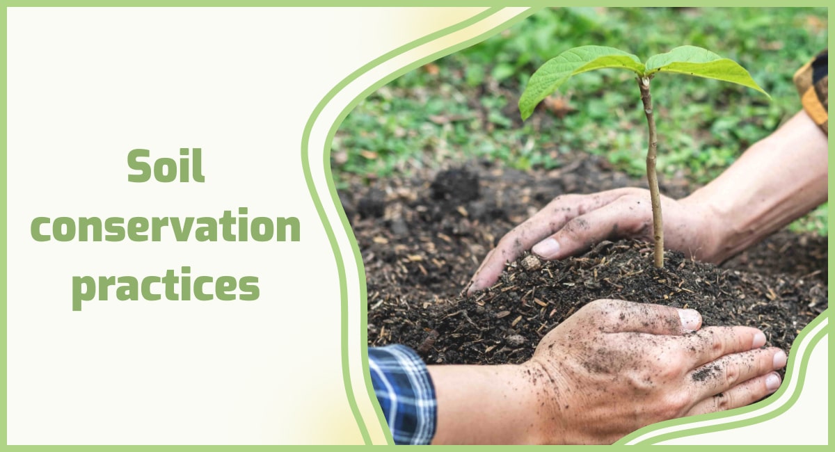 Ph.D. in Soil Conservation & Water Management: Introduction, Admission, Registration, Eligibility, Duration, Fees, Syllabus 2024