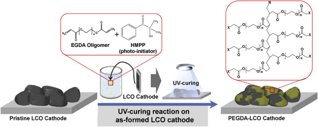 Ph.D. in Surface Coating Technology: Introduction, Admission, Registration, Eligibility, Duration, Fees, Syllabus 2024