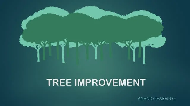 Ph.D. in Tree Improvements: Introduction, Admission, Registration, Eligibility, Duration, Fees, Syllabus 2024