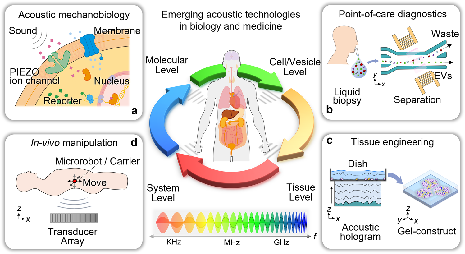 Ph.D. in Acoustics: Introduction, Admission, Registration, Eligibility, Duration, Fees, Syllabus 2024