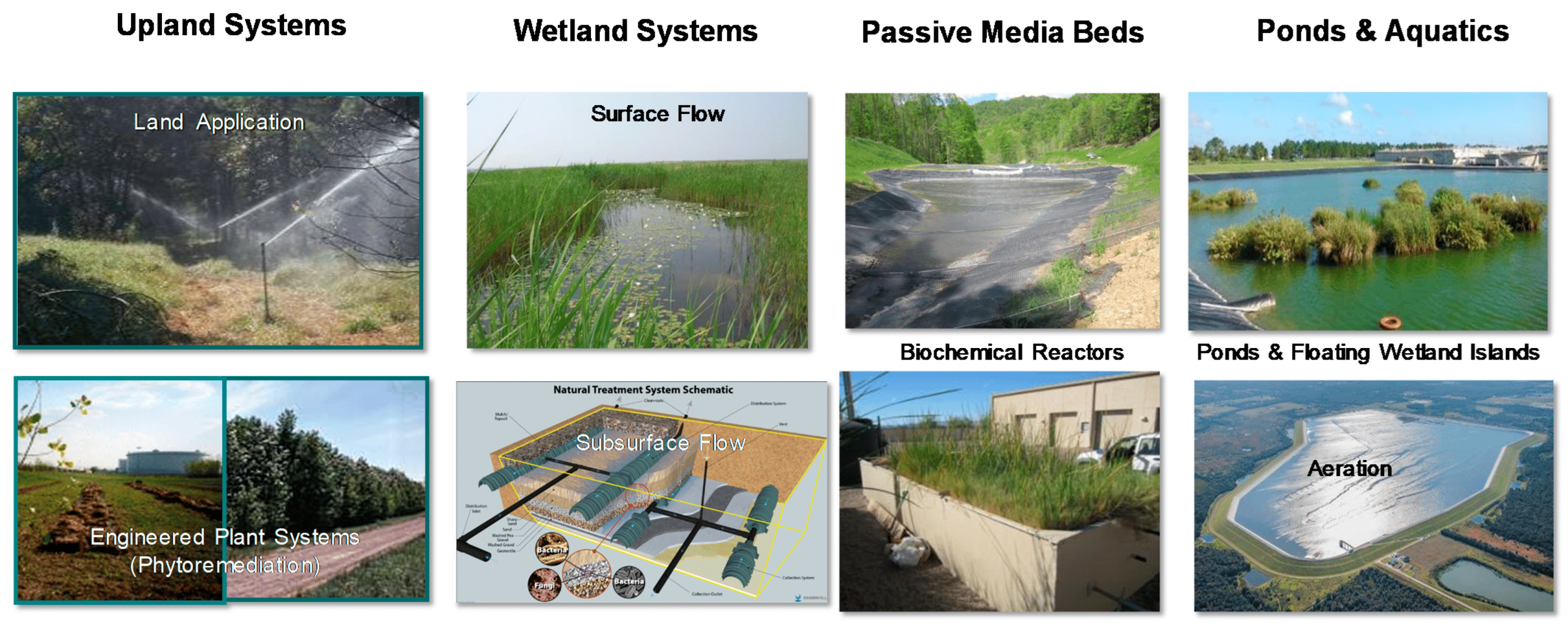 Ph.D. in Agricultural and Biological Engineering with Concentration in Wetland Sciences: Introduction, Admission, Registration, Eligibility, Duration, Fees, Syllabus 2024