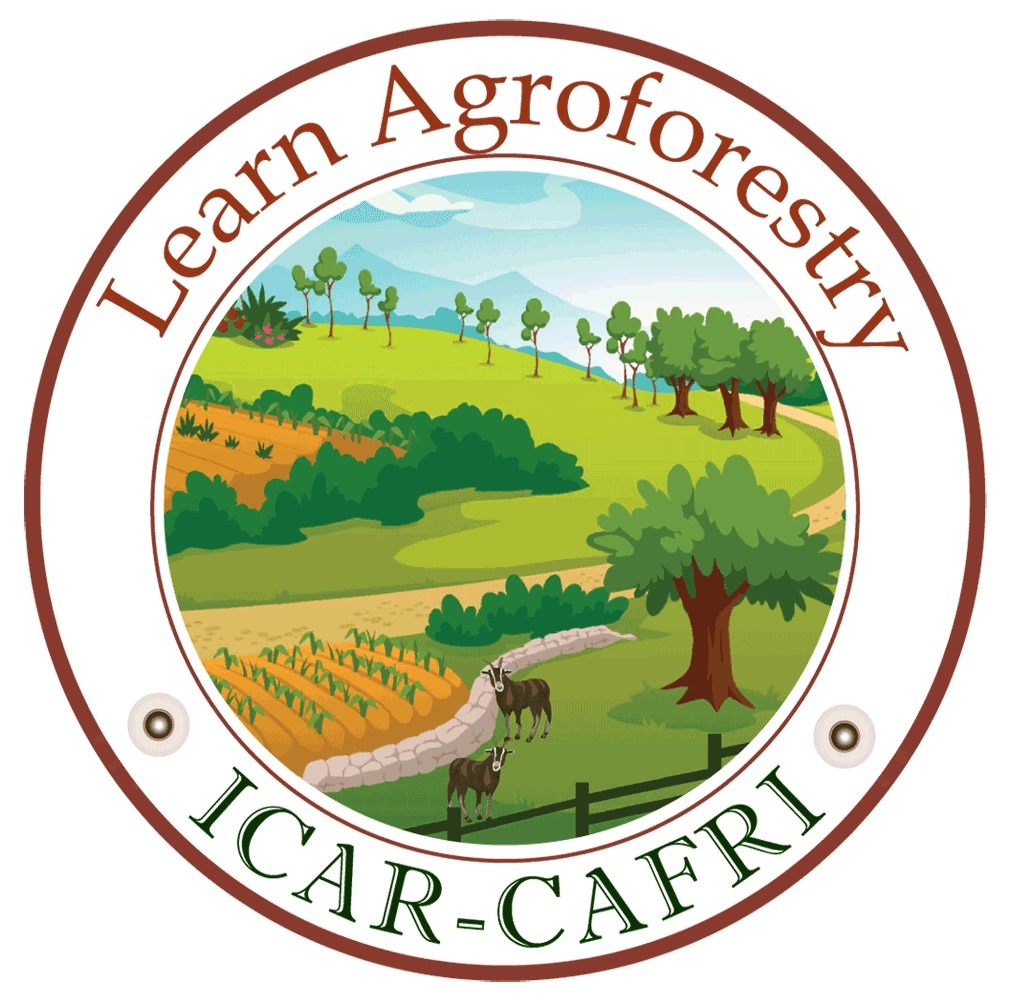 Ph.D. in Agroforestry: Introduction, Admission, Registration, Eligibility, Duration, Fees, Syllabus 2024