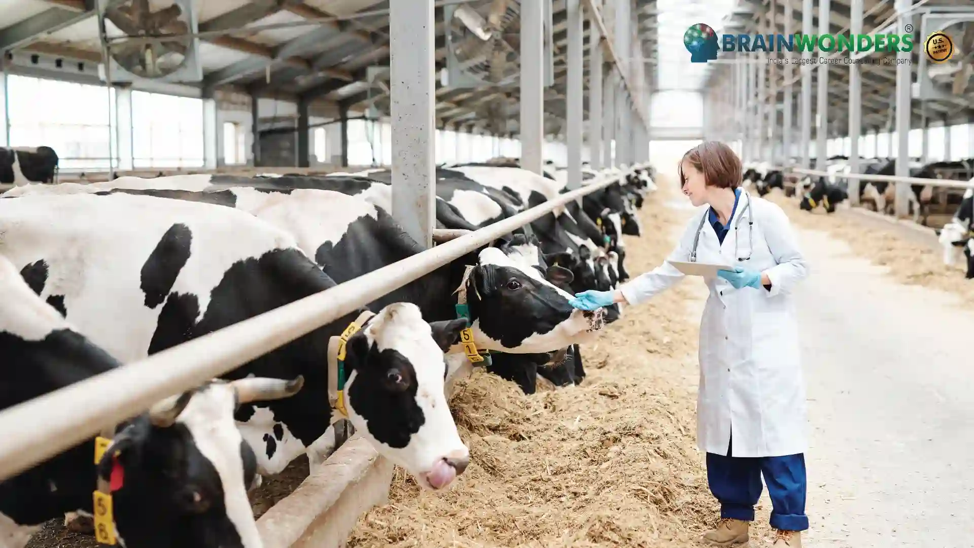 Ph.D. in Animal Husbandry and Dairying: Introduction, Admission, Registration, Eligibility, Duration, Fees, Syllabus 2024