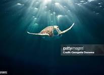 Ph.D. in Aquatic Environmental Management: Introduction, Admission, Registration, Eligibility, Duration, Fees, Syllabus 2024