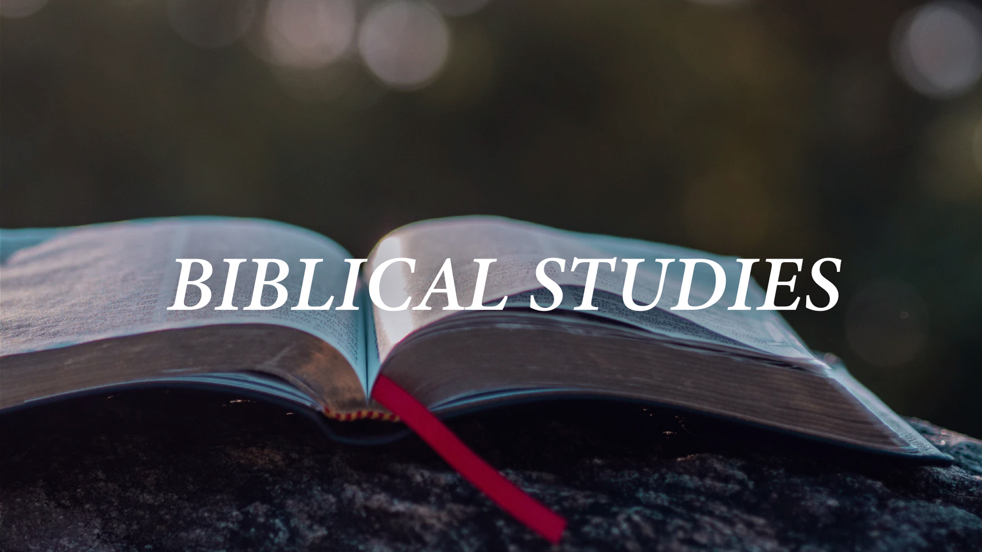 Ph.D. in Bible/Biblical Studies: Introduction, Admission, Registration, Eligibility, Duration, Fees, Syllabus 2024
