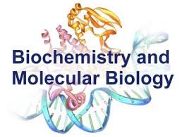 Ph.D. in Biochemistry and Molecular Biology: Introduction, Admission, Registration, Eligibility, Duration, Fees, Syllabus 2024