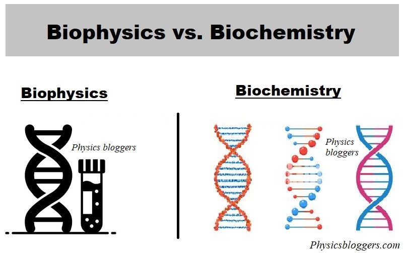 Ph.D. in Biochemistry and Biophysics: Introduction, Admission, Registration, Eligibility, Duration, Fees, Syllabus 2024