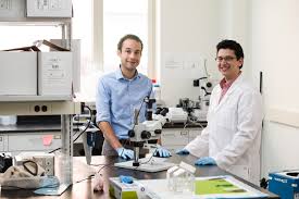 PhD in Bioengineering - Neural Interfaces Track: Introduction, Admission, Registration, Eligibility, Duration, Fees, Syllabus 2024