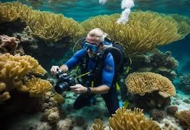 PhD in Biological Oceanography: Introduction, Admission, Registration, Eligibility, Duration, Fees, Syllabus 2024