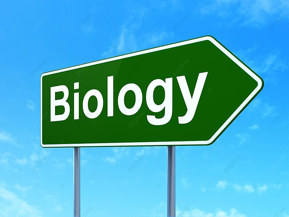 Ph.D. in Biology: Introduction, Admission, Registration, Eligibility, Duration, Fees, Syllabus 2024