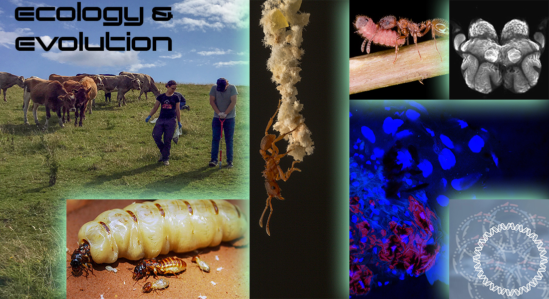 Ph.D. in Biology - Ecology and Evolution: Introduction, Admission, Registration, Eligibility, Duration, Fees, Syllabus 2024