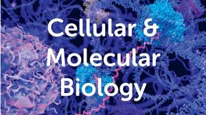 Ph.D. in Biology - Cell and Molecular Biology: Introduction, Admission, Registration, Eligibility, Duration, Fees, Syllabus 2024