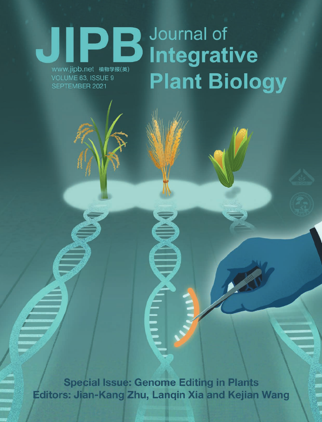 Ph.D. in Biology - Integrative Plant Biology | Comprehensive Research Degree