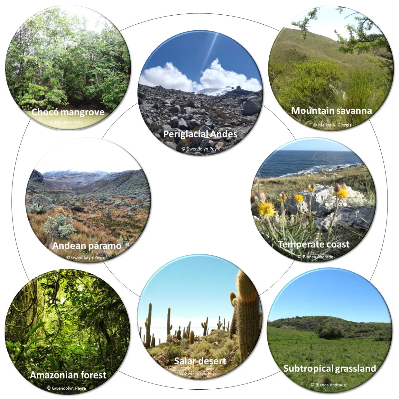 Ph.D. in Biology - Neotropical Environment: Introduction, Admission, Registration, Eligibility, Duration, Fees, Syllabus 2024