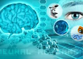 Ph.D. in Biomedical Engineering - Specialization in Neuroengineering: Introduction, Admission, Registration, Eligibility, Duration, Fees, Syllabus 2024