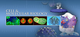 Ph.D. in Biosciences - Cell and Molecular Biology: Introduction, Admission, Registration, Eligibility, Duration, Fees, Syllabus 2024