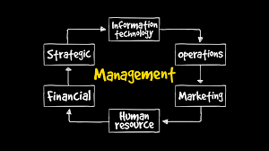 PhD in Business Administration - Organization and Strategy Specialization: Introduction, Admission, Registration, Eligibility, Duration, Fees, Syllabus 2024