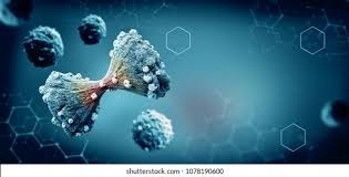 Ph.D. in Cancer Biology: Introduction, Admission, Registration, Eligibility, Duration, Fees, Syllabus 2024