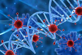 Ph.D. in Cancer Epidemiology: Introduction, Admission, Registration, Eligibility, Duration, Fees, Syllabus 2024