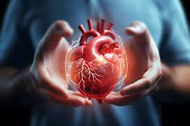 Ph.D. in Cardiology: Introduction, Admission, Registration, Eligibility, Duration, Fees, Syllabus 2024