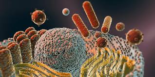 Ph.D. in Cell/Cellular Biology: Introduction, Admission, Registration, Eligibility, Duration, Fees, Syllabus 2024