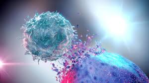 Ph.D. in Cellular & Molecular Oncology: Introduction, Admission, Registration, Eligibility, Duration, Fees, Syllabus 2024