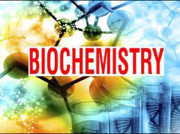 Ph.D. in Chemistry and Biochemistry: Introduction, Admission, Registration, Eligibility, Duration, Fees, Syllabus 2024