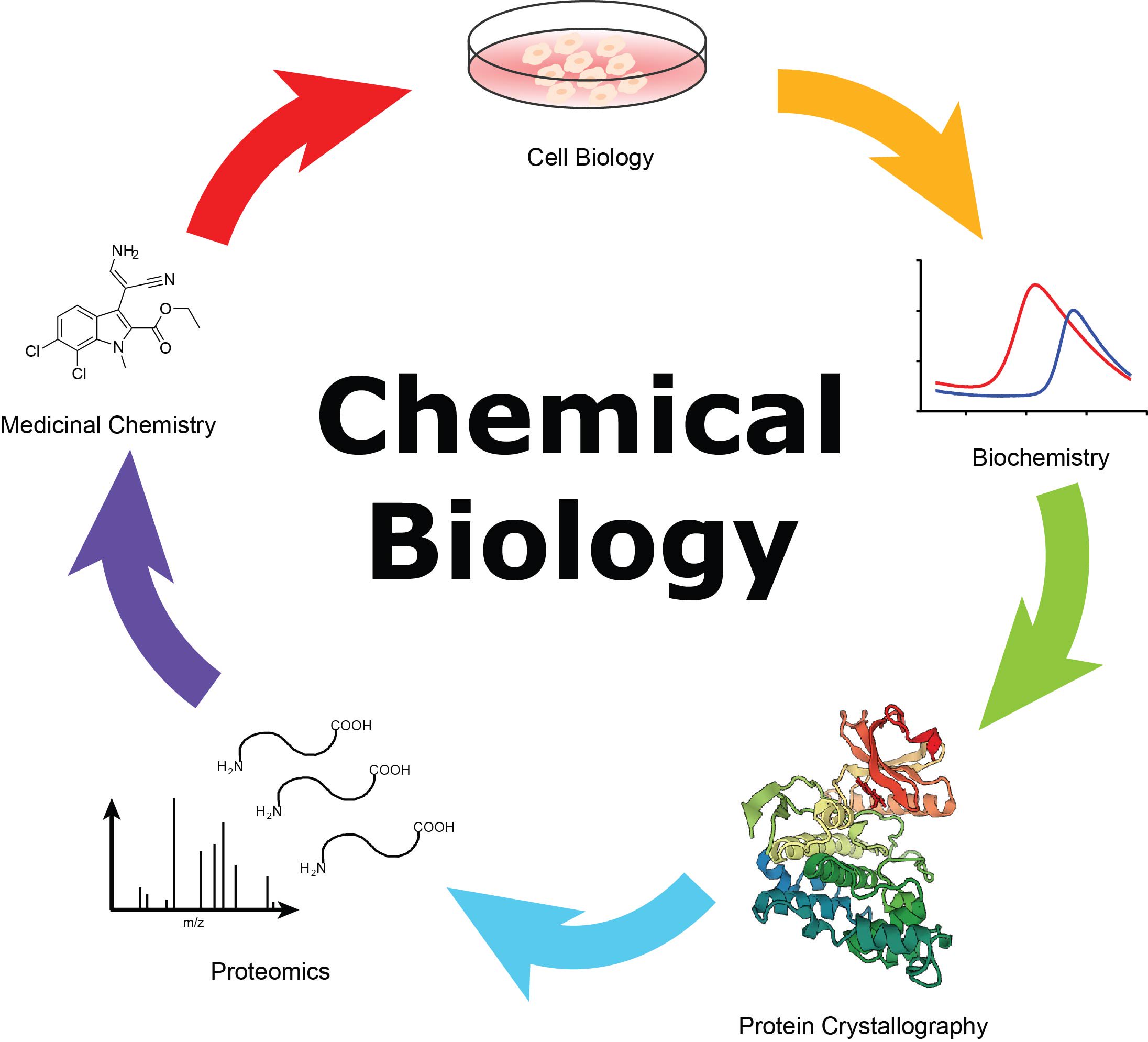 Ph.D. in Chemistry and Chemical Biology: Introduction, Admission, Registration, Eligibility, Duration, Fees, Syllabus 2024