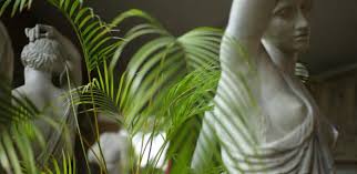 Ph.D. in Classics - Proseminar in Classics: Introduction, Admission, Registration, Eligibility, Duration, Fees, Syllabus 2024