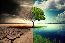 Ph.D. in Climate Change & Ecological Studies: Introduction, Admission, Registration, Eligibility, Duration, Fees, Syllabus 2024
