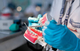 Ph.D. in Clinical Dentistry: Introduction, Admission, Registration, Eligibility, Duration, Fees, Syllabus 2024