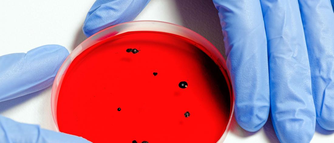 Ph.D. in Clinical Microbiology Residency: Introduction, Admission, Registration, Eligibility, Duration, Fees, Syllabus 2024