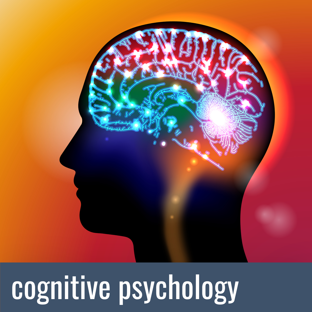 Ph.D. in Cognition and Cognitive Development: Introduction, Admission, Registration, Eligibility, Duration, Fees, Syllabus 2024