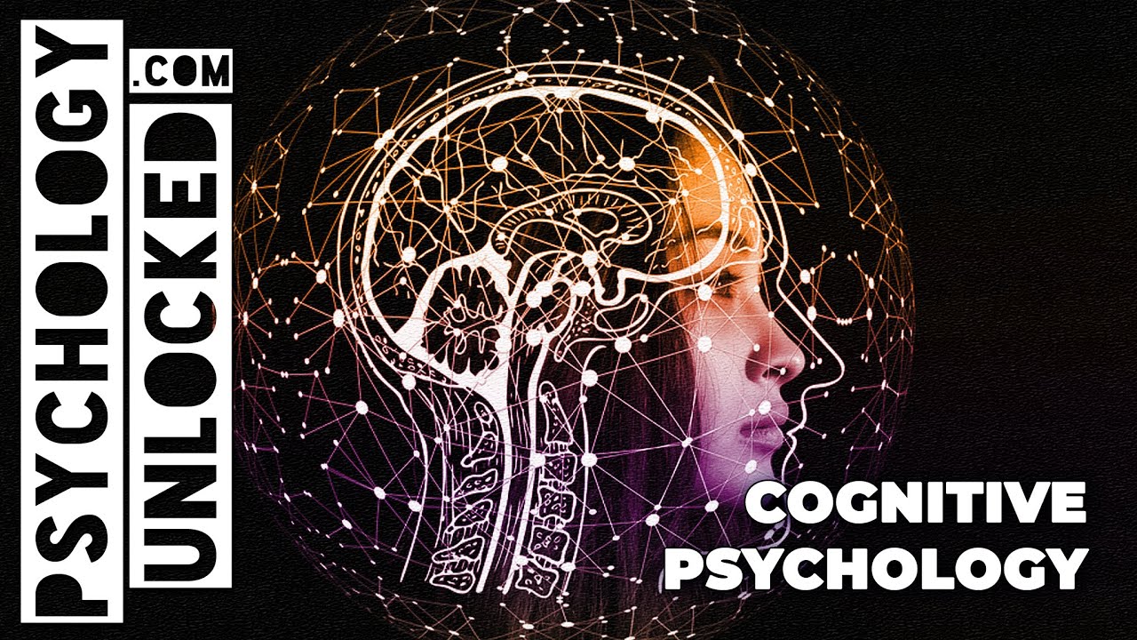 Ph.D. in Cognitive Psychology: Introduction, Admission, Registration, Eligibility, Duration, Fees, Syllabus 2024