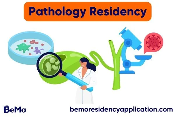 Ph.D. in Combined Anatomic Pathology Residency: Introduction, Admission, Registration, Eligibility, Duration, Fees, Syllabus 2024