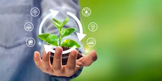 Ph.D. in Community Sustainability Program: Introduction, Admission, Registration, Eligibility, Duration, Fees, Syllabus 2024