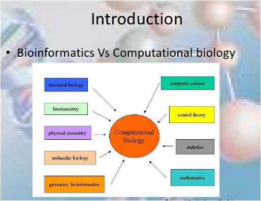 Ph.D. in Computational Biology and Bioinformatics: Introduction, Admission, Registration, Eligibility, Duration, Fees, Syllabus 2024