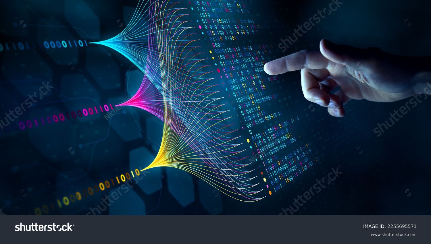 Ph.D. in Computational Sciences and Informatics: Introduction, Admission, Registration, Eligibility, Duration, Fees, Syllabus 2024