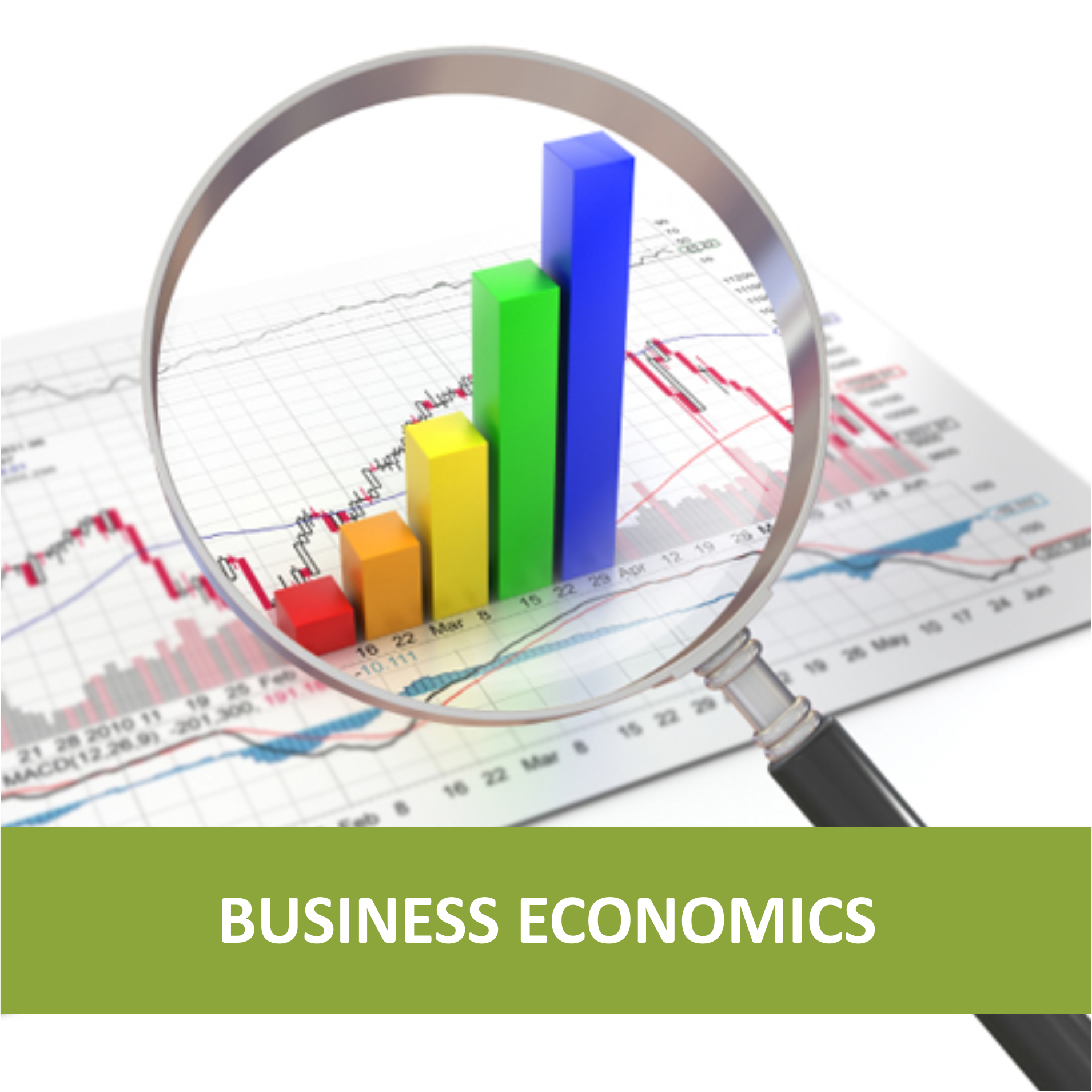 Ph.D. in Economics, Management, and Organization: Introduction, Admission, Registration, Eligibility, Duration, Fees, Syllabus 2024