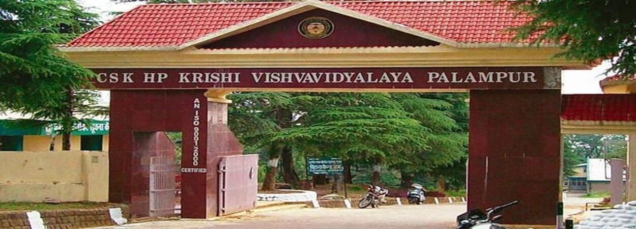 Ph.D. From Chaudhary Sarwan Himachal Vishwavidyalaya: Introduction, Fee Structure, Admission, Subjects, Documents, Syllabus, Methodology, Highlights, Scholarship, FAQs