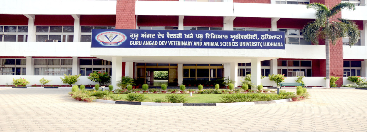 Ph.D. From Guru Angad Dev Veterinary & Animal Sciences University