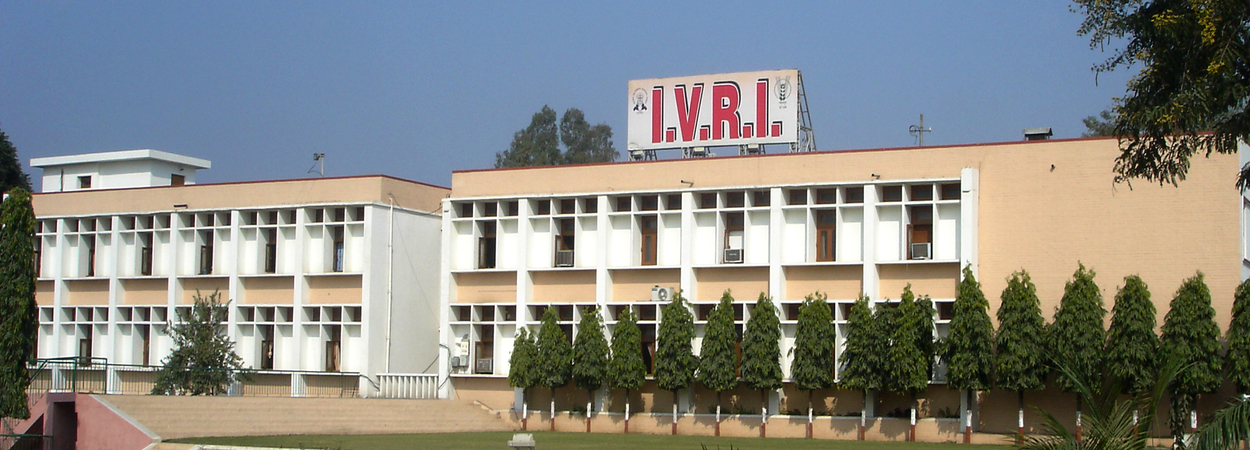Ph.D. From Indian Veterinary Research Institute, Uttar Pradesh